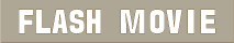 Flashバージョン